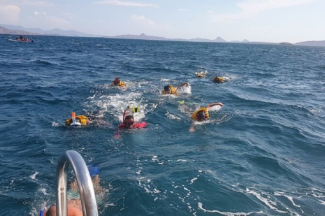 1- day Komodo Island Hopping Tour by Speed Boat departure From Labuan bajo - Komodo Island and the Search for Dragons