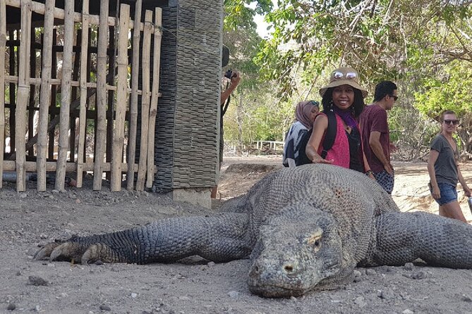1- day Komodo island Tour hopping around by Speed Boat - Why this day trip covers so much