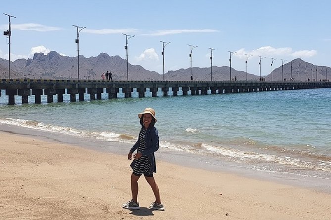 1- day Komodo island Tour hopping around by Speed Boat - Manta Point and the limits of wildlife promises