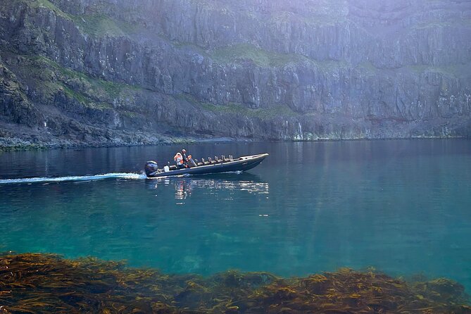 1 Hour Iceland Nature and Wildlife RIB Small Group Guided Safari - Key points before you book