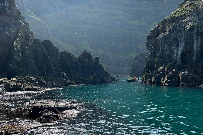 1 Hour Iceland Nature and Wildlife RIB Small Group Guided Safari - Why this short boat ride works in East Iceland