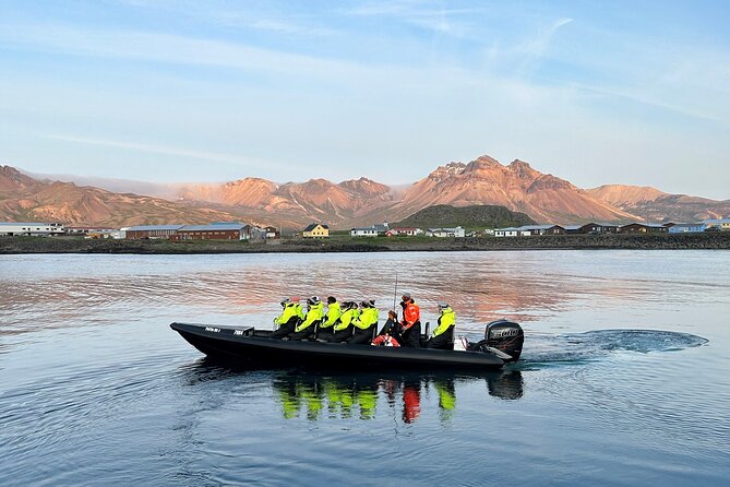 1 Hour Iceland Nature and Wildlife RIB Small Group Guided Safari - Seals, the harbor, and a possible waterfall