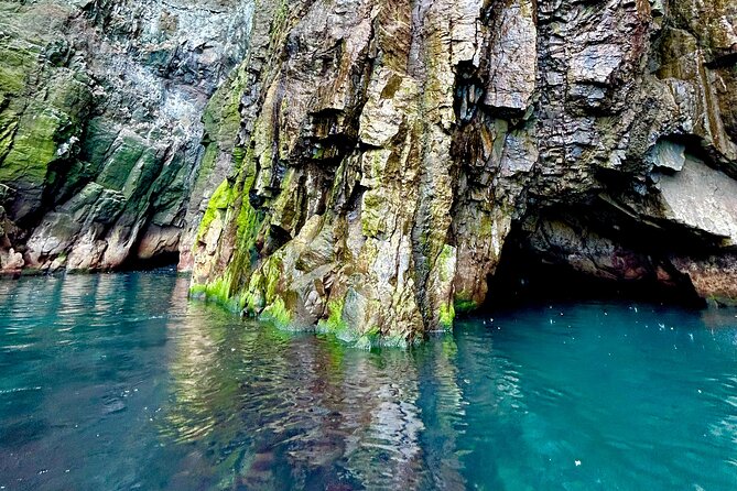 1 Hour Iceland Nature and Wildlife RIB Small Group Guided Safari - Whale watching is a bonus, not a promise