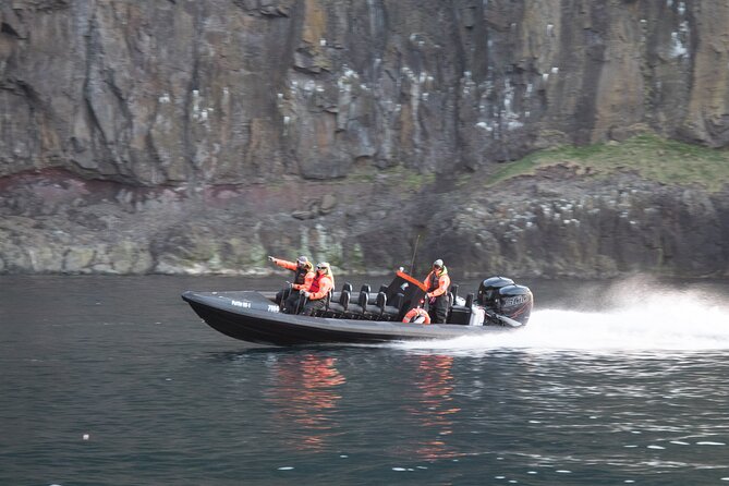 1 Hour Iceland Nature and Wildlife RIB Small Group Guided Safari - Is $160 good value for one hour?
