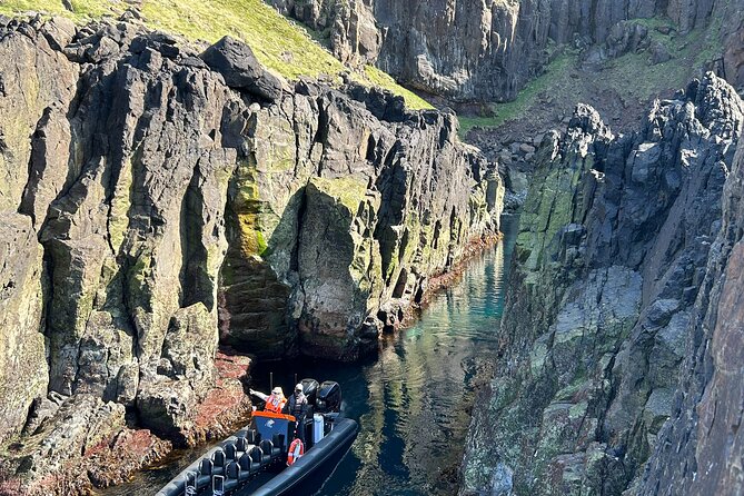 1 Hour Iceland Nature and Wildlife RIB Small Group Guided Safari - Setting off from Hafnarhólmi at noon