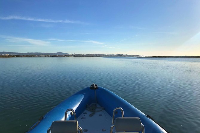 1 or 2 Hour Speed Boat Tour - Ria Formosa - Why the Ria Formosa is more than pretty scenery
