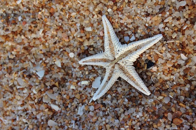1 or 2 Hour Speed Boat Tour - Ria Formosa - Culatra Island and its small communities