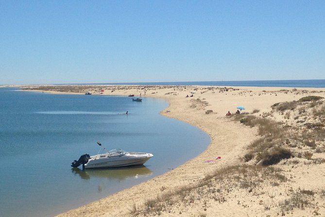 1 or 2 Hour Speed Boat Tour - Ria Formosa - Guides are a major part of the value