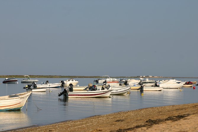 1 or 2 Hour Speed Boat Tour - Ria Formosa - Is $33.64 a fair price?