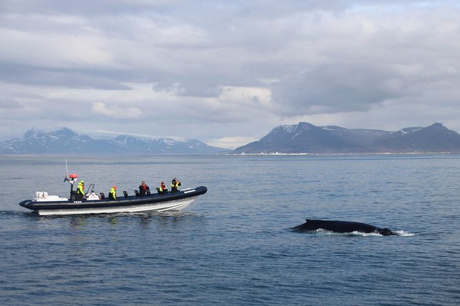 2-Hour RIB Boat Whale Watching Tour from Reykjavik - The boat ride across Faxaflói Bay