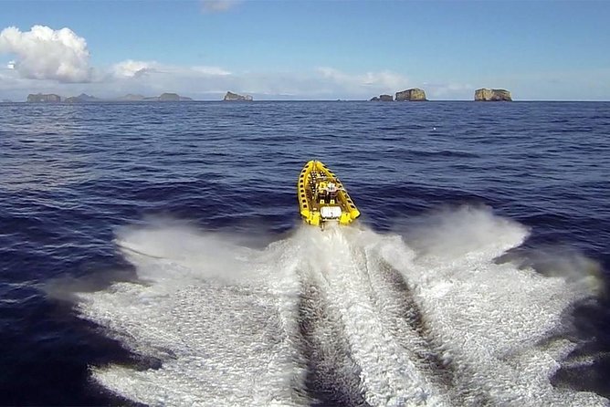 2 hour Round Trip in Vestmannaeyjar on a RIB Boat - Key points to know before booking