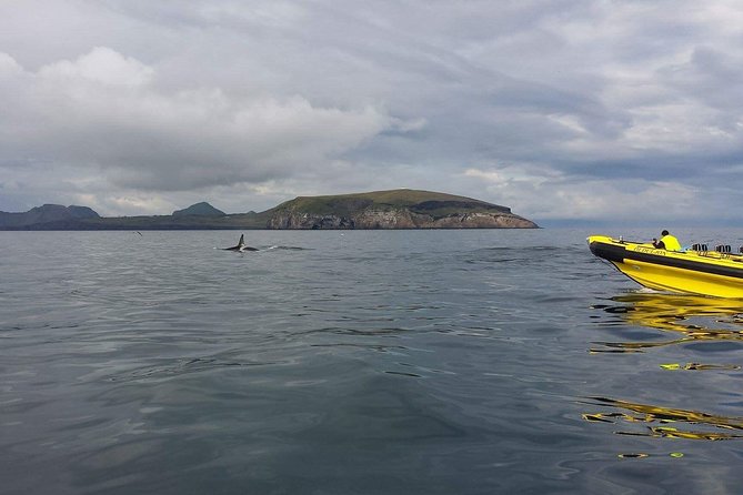 2 hour Round Trip in Vestmannaeyjar on a RIB Boat - The first ten minutes at the Ribsafari office