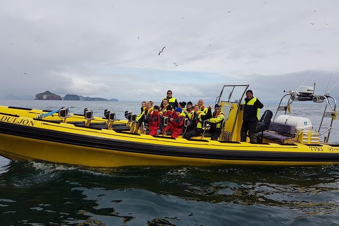 2 hour Round Trip in Vestmannaeyjar on a RIB Boat - Puffins, eider, and the island’s seabirds