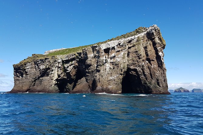 2 hour Round Trip in Vestmannaeyjar on a RIB Boat - Heading farther out toward Súlnasker