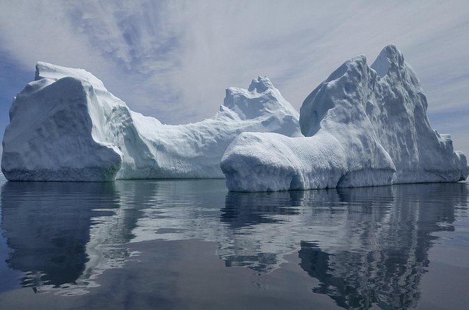 3 Hour Ocean Safari by Zodiac Boat -Whales & Icebergs seasonally - Is $93.44 good value?