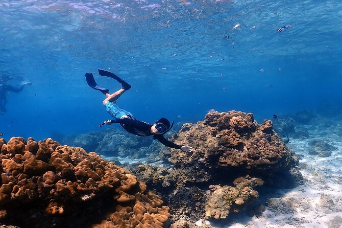 3-Island Speedboat Tour: Racha Noi, Racha Yai & Maiton - Banana Bay: the best snorkeling stop