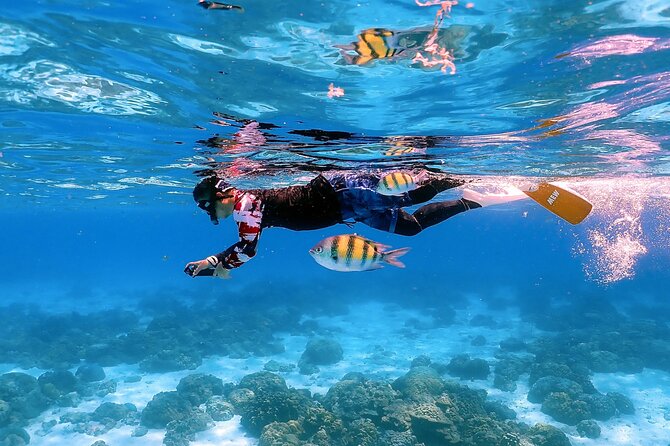 3-Island Speedboat Tour: Racha Noi, Racha Yai & Maiton - Racha Yai: lunch and a longer island pause