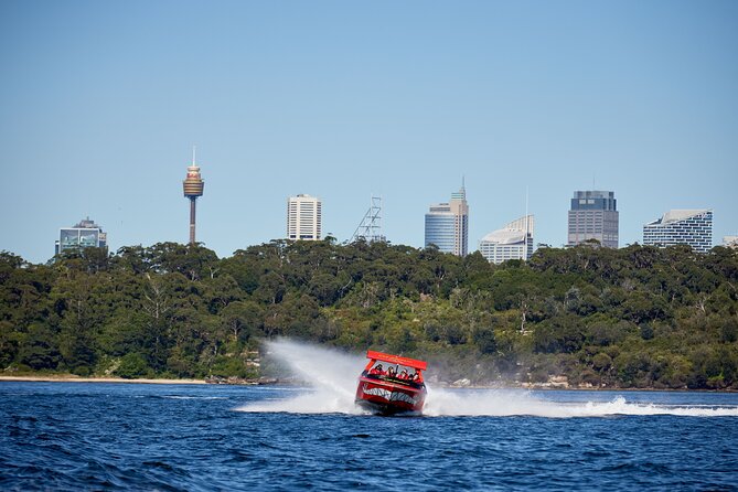 30-Minute Sydney Harbour Jet Boat Thrill Ride - What the jet boat actually does