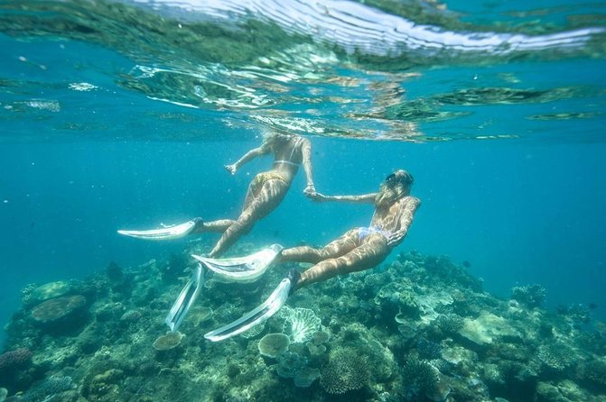 5-in-1 Adventure in Cancun: ATVs, Ziplines, Speed Boat, Snorkel and Cenote Swim - ATV riding through the jungle