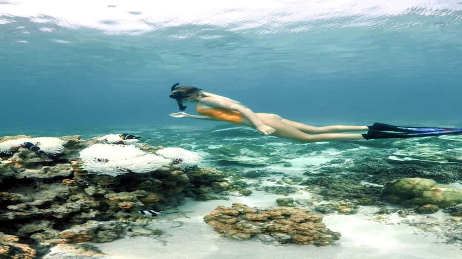 5 Islands Private Speedboat w/ Snorkeling + Lunch & Drinks - What the private boat changes