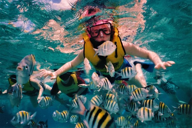 5 Islands Speedboat Cruise incl. Snorkeling in Blue Bay + Lunch at Ile aux Cerfs - Ile aux Aigrettes offers a short pause