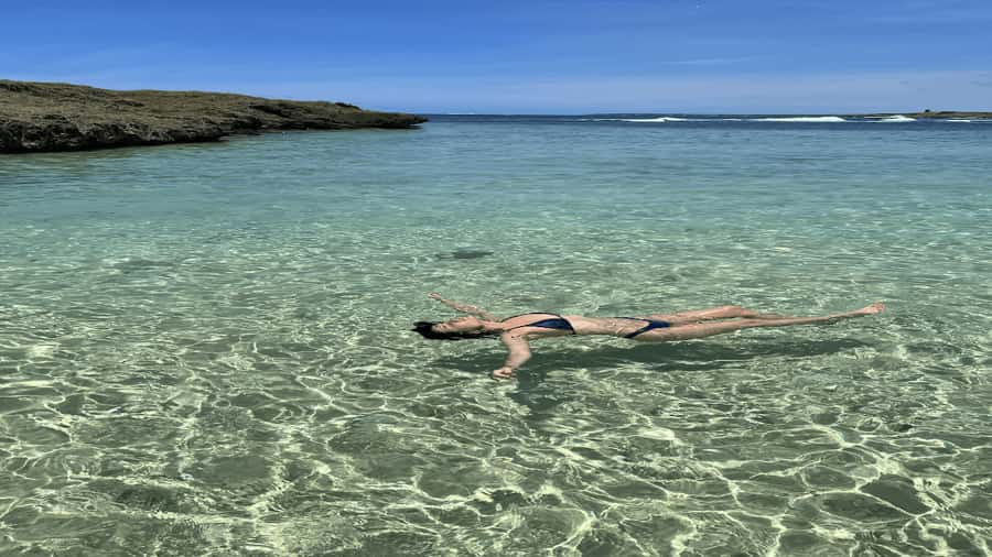 5 Islands Speedboat w/Snorkeling Sea Turtle + Lunch & Drinks - Ile aux Aigrettes and the return across the lagoon