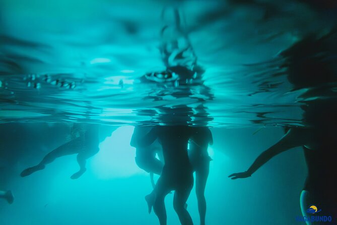 8 Hour Private Sea Safari Speedboat Dubrovnik - The Blue Cave swim