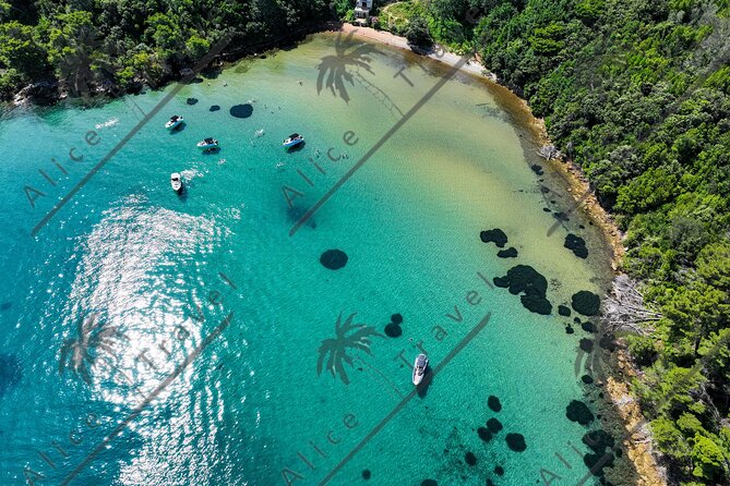 Adrenaline Adventure on Speedboat with 3 stops and Snorkeling - Captains make a real difference