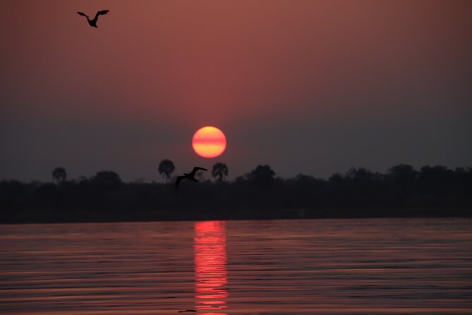 Adrenaline Jet Boat Safari in Victoria Falls - The jet boat action through rapids and islands