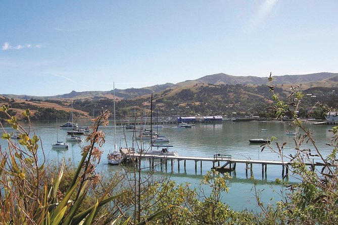 Akaroa Shore Excursion: Christchurch City Tour and Jet Boating - A quick look at Christchurch’s changing center