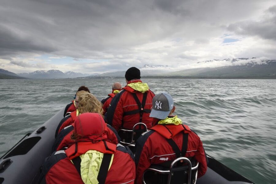 Akureyri: 2-Hour Whale Watching Express by RIB Speedboat - The wildlife count can vary widely