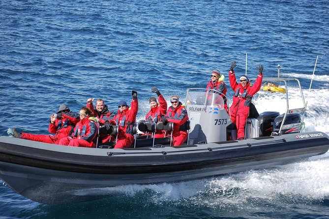 Akureyri Express Whale Watching by RIB boat - What the guides add to the experience