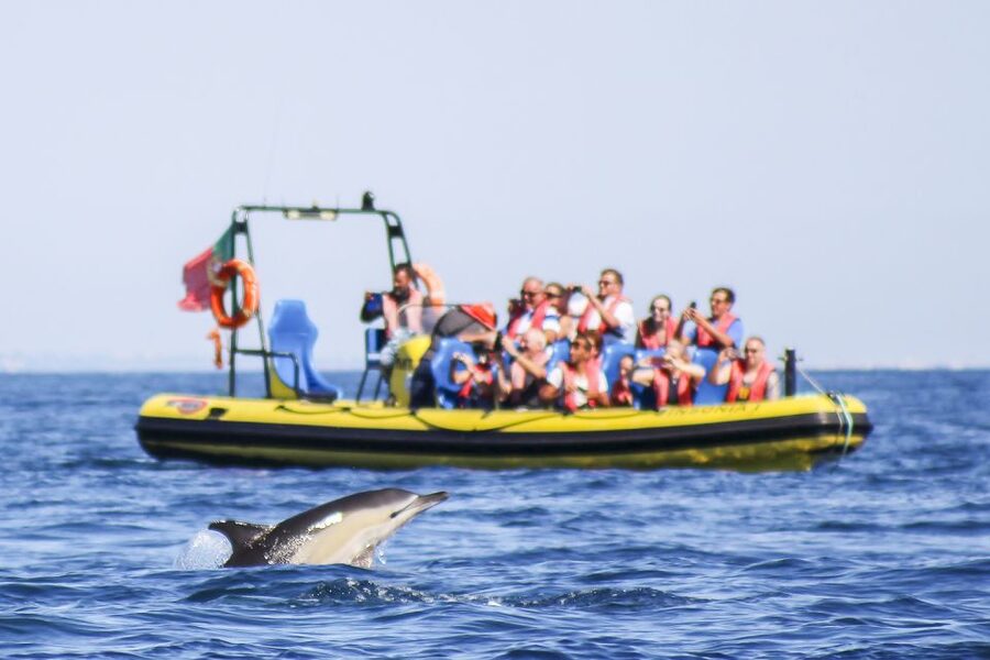Albufeira: Benagil Caves & Dolphin Watching Speed Boat Tour - Key points to know before you book