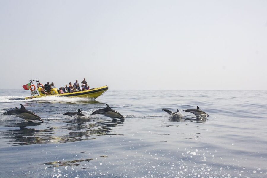 Albufeira: Benagil Caves & Dolphin Watching Speed Boat Tour - Inside Benagil Cave, briefly but impressively