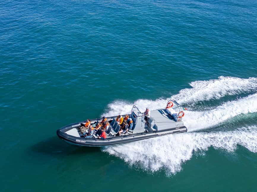 Albufeira: Dolphins & Benagil Caves RIB Tour - Key points to know before you book