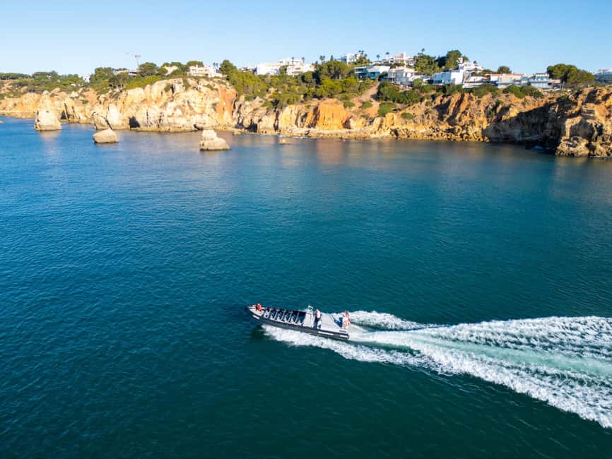 Albufeira: Dolphins & Benagil Caves RIB Tour - Dolphin watching with a marine biologist