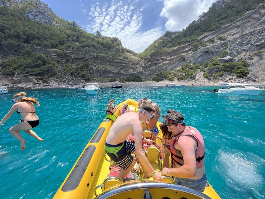 Alcudia: Speedboat Tour of Northern Mallorca & Hotel Pickup - Marine life and the return run