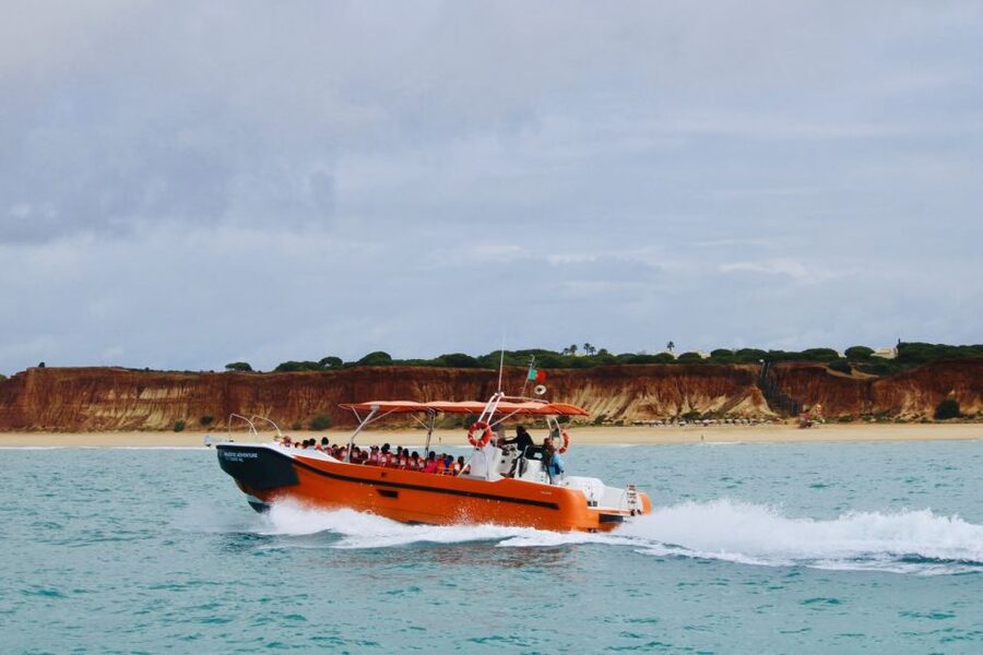 Algarve: Benagil Caves Open Speedboat Tour - The dolphin-watching portion