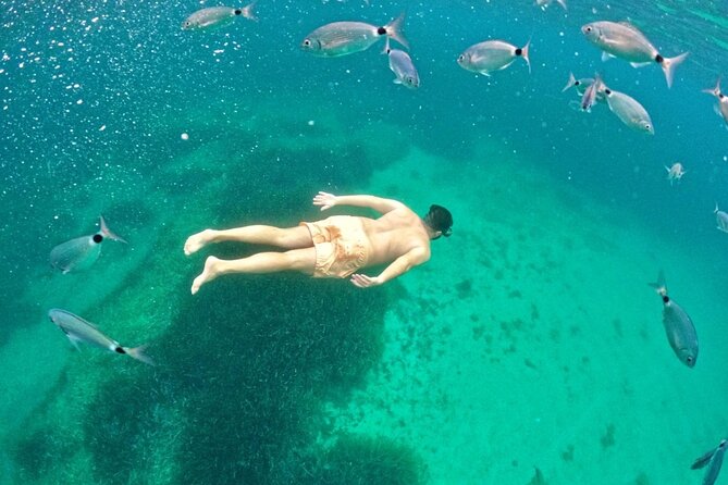 Alghero: snorkeling RIB tour in Porto Conte and Capo Caccia - The long cruise beneath Capo Caccia