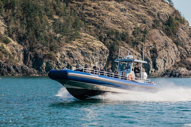 Anacortes Whale Watching Adventure Tour - Zodiac Boat - Why the small group size matters
