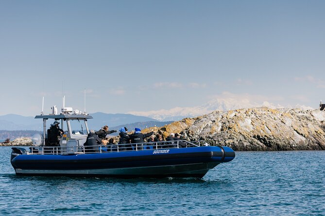 Anacortes Whale Watching Adventure Tour - Zodiac Boat - Is $149 a fair price?