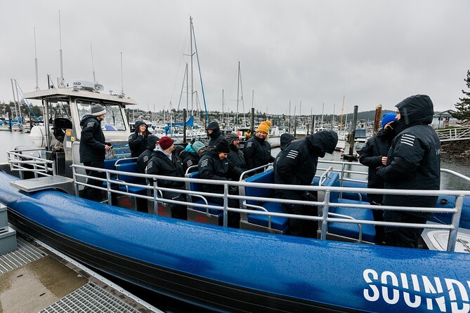Anacortes Whale Watching Adventure Tour - Zodiac Boat - Searching for orcas and other whales