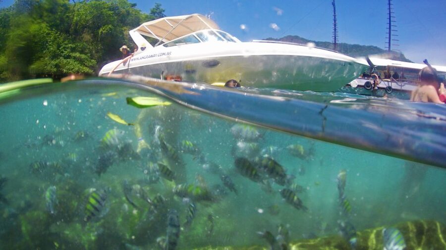 Angra dos Reis: Super Lagoa Azul Speedboat Tour - Price, value, and what you still pay for