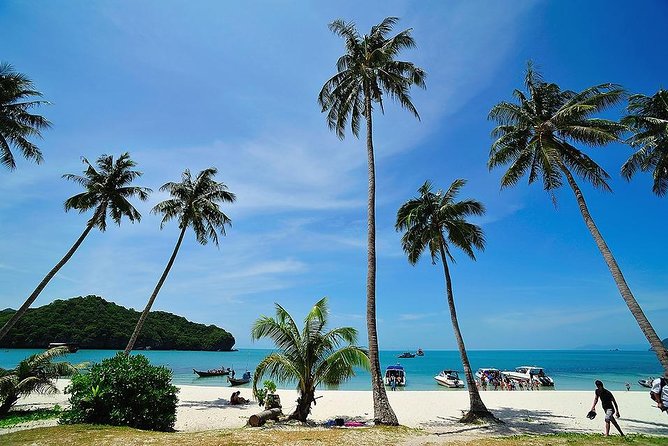 Angthong National Marine Park by Speed Boat with Snorkeling & Kayaking - Koh Wao snorkeling for about 45 minutes
