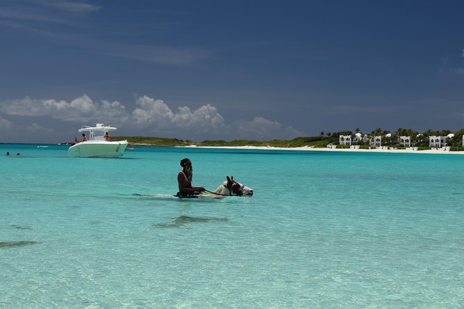Anguilla - Discovery Speed Boat tour - Little Bay: snorkeling, drinks, and a possible cliff jump