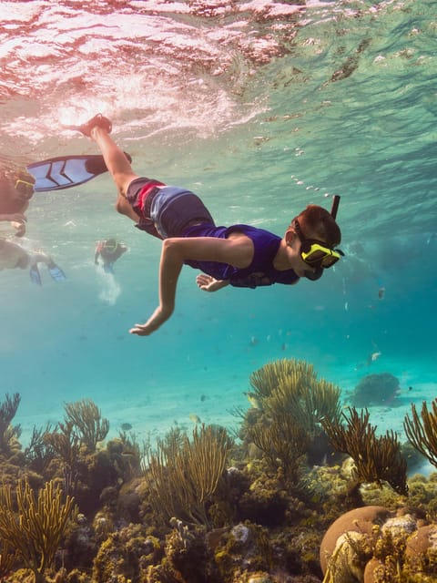 Ao Nang: 4 Islands Day Tour by Speedboat or Longtail Boat - Speedboat or longtail boat?
