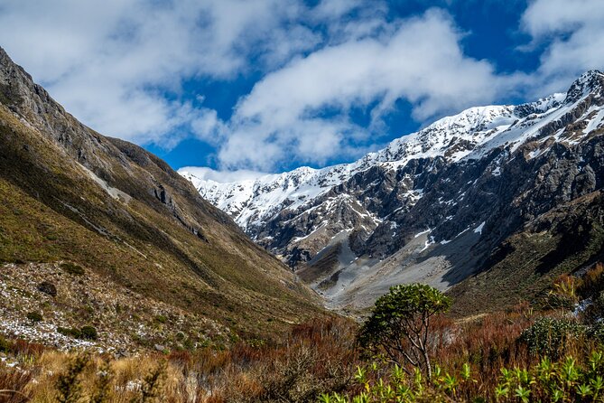 Arthur’s Pass Tour From Christchurch With Jet Boat & TranzAlpine - Key points at a glance