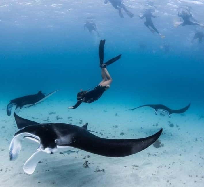 Bali: Nusa Penida: Snorkeling, West trip, lunch & speed boat - Key Points Before You Book