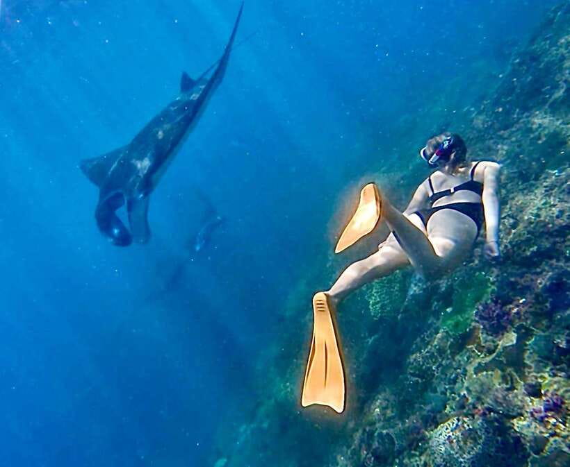 Bali: Nusa Penida: Snorkeling, West trip, lunch & speed boat - Taking the Morning Speedboat from Sanur