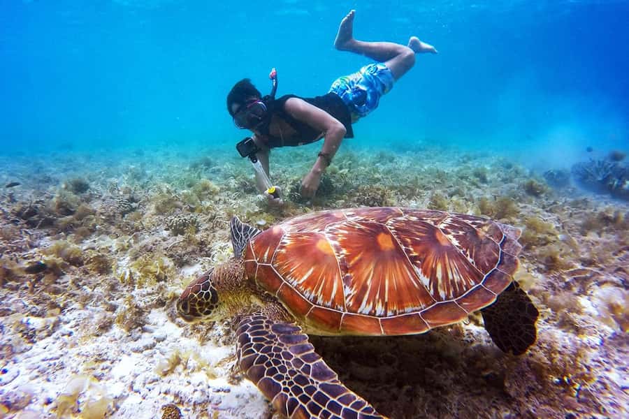 Bali: Nusa Penida Speedboat Trip with Snorkeling and Tour - Four snorkeling areas around Lembongan and Nusa Penida